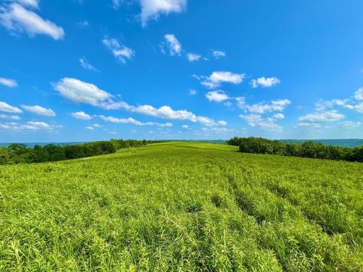 42112 State Highway 30, Rushford, MN 55971