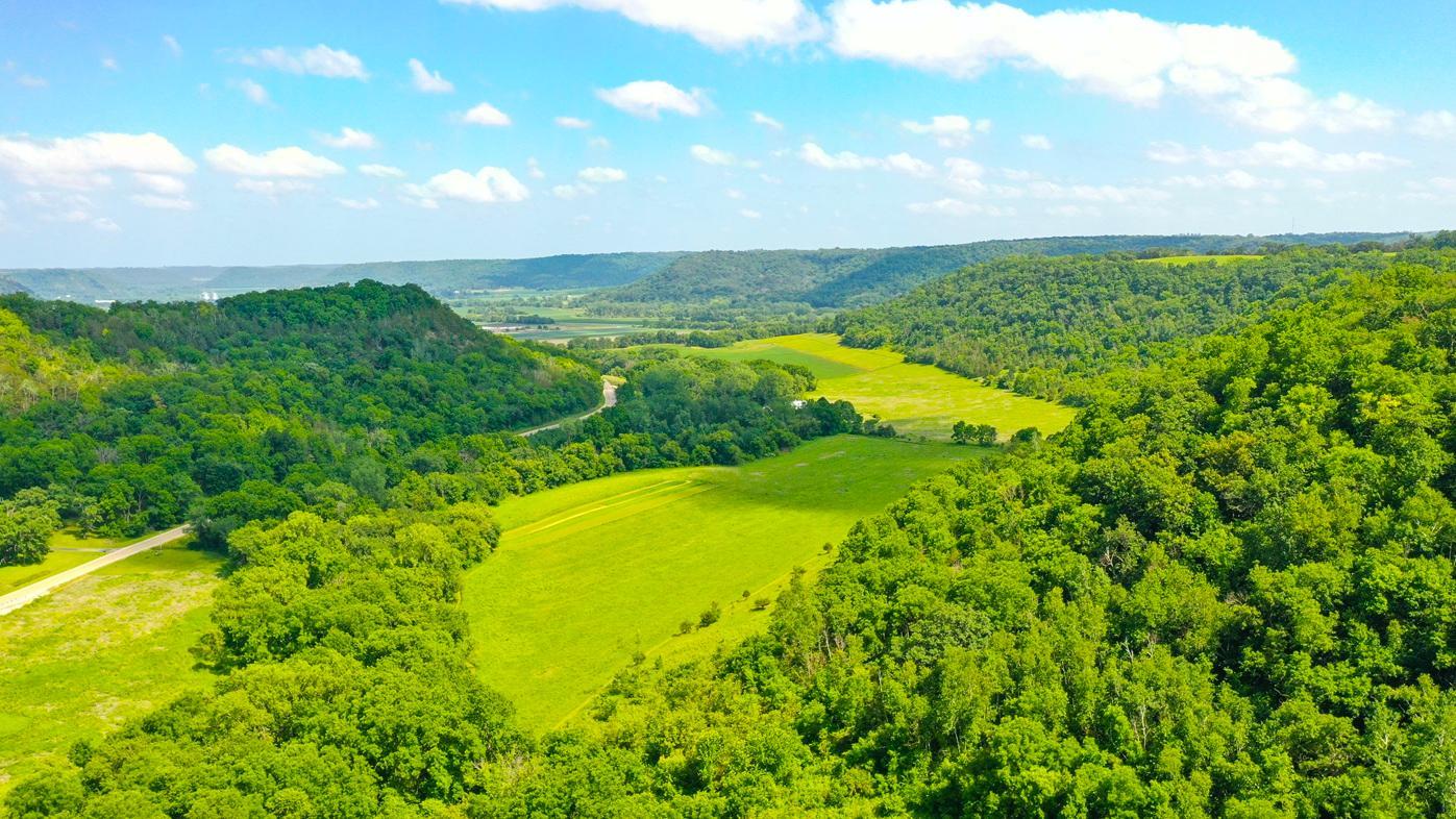 DJI_0120.jpg