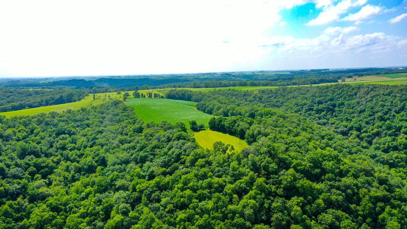 DJI_0122.jpg