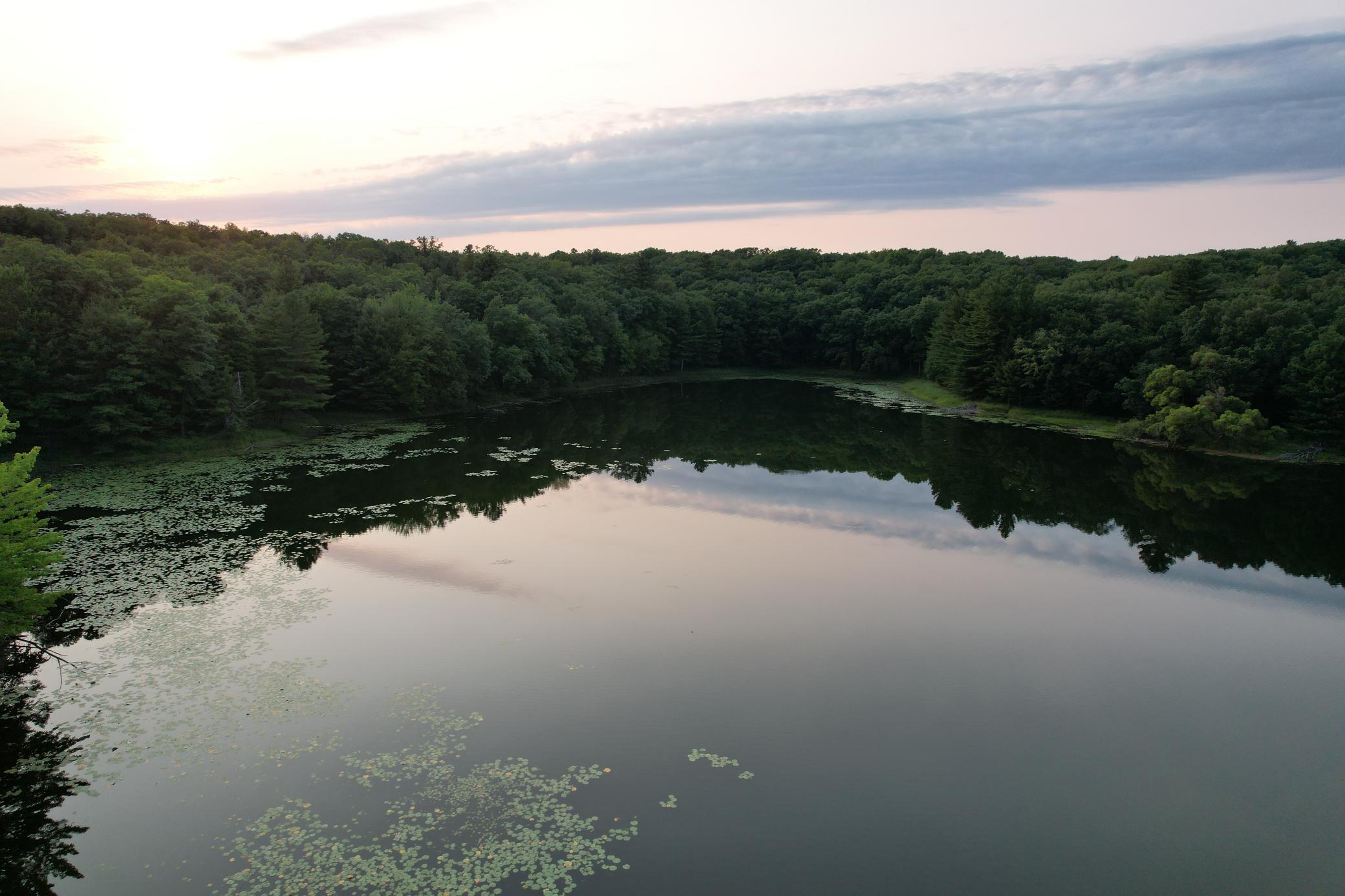 dji_fly_20260809_192712_488_1786322112268_photo.jpg
