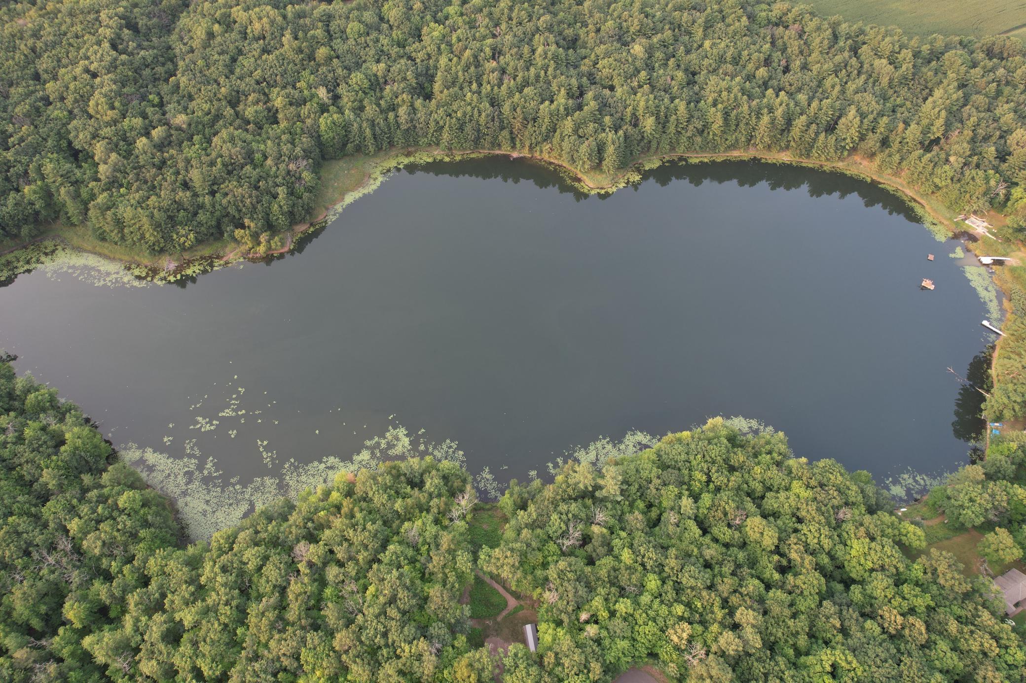 dji_fly_20260809_192158_481_1786322124511_photo.jpg