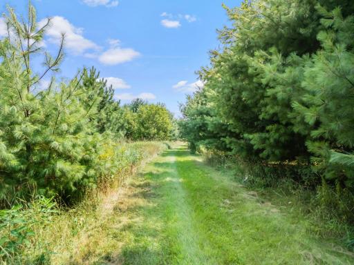 766 14th Avenue, Almena, WI 54805