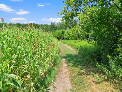 766 14th Avenue, Almena, WI 54805
