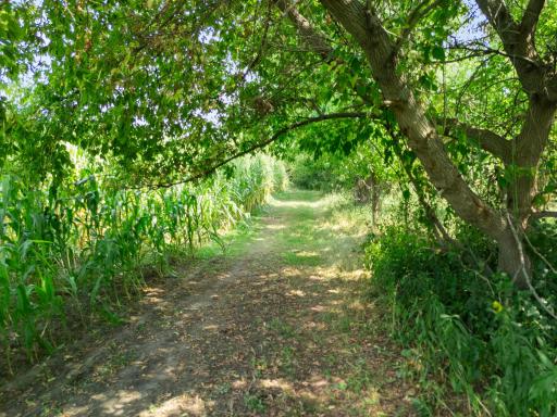 Well maintained trails throughout the property