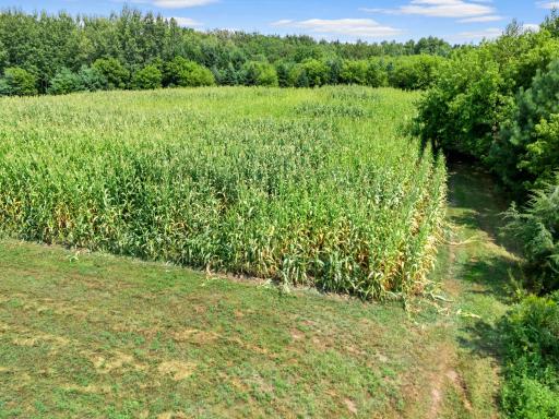 766 14th Avenue, Almena, WI 54805
