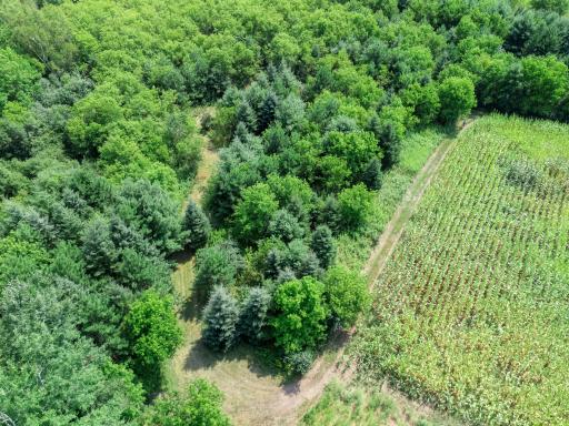 766 14th Avenue, Almena, WI 54805