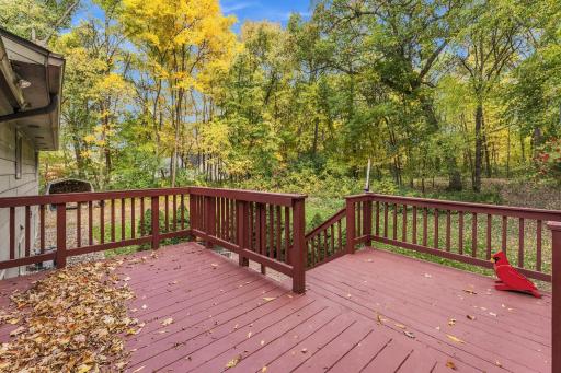 28957 Linden Avenue, Lindstrom, MN 55045