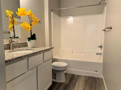 Main Full Bath - White Cabinet option. Photos from similar home.