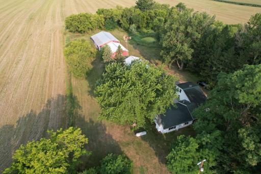 Farmer leases out part of the land
