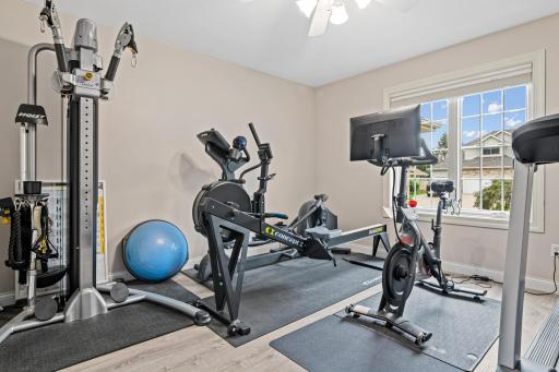 Main floor room that is currently used as an exercise room. This could also be an ideal office, playroom, craft or hobby room with views to the front yard.