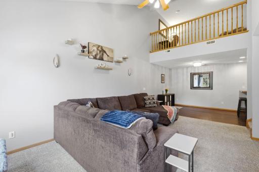 Vaulted Ceilings