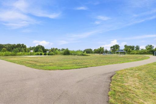 Park Views