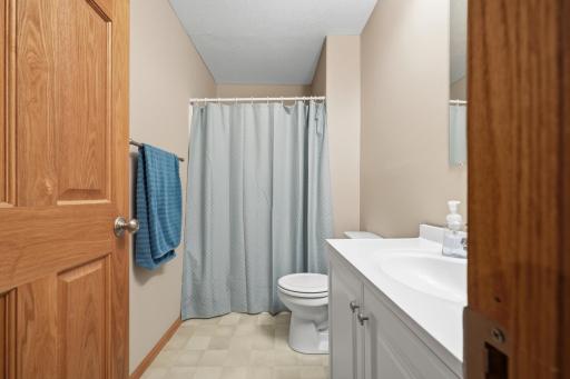 Lower Level Bathrom