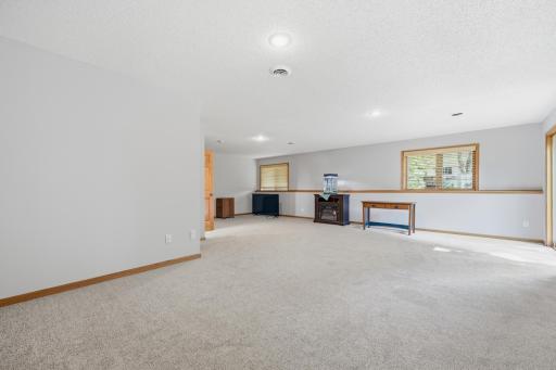 Lower level family room complete with new carpet and paint.