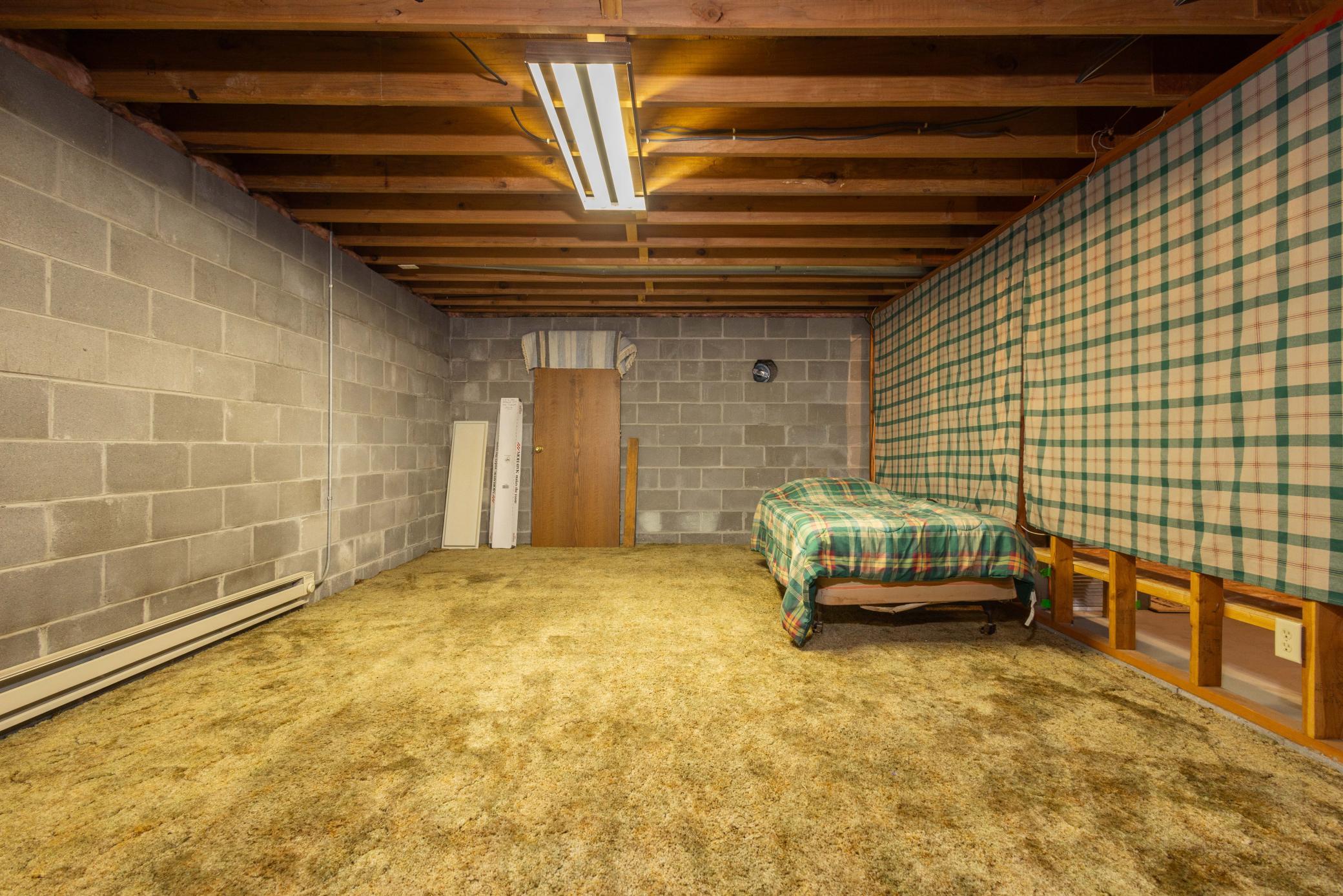 Lower Family Room
