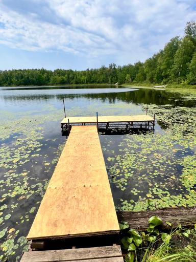 44616 Mcgrady Trail, Nashwauk, MN 55769