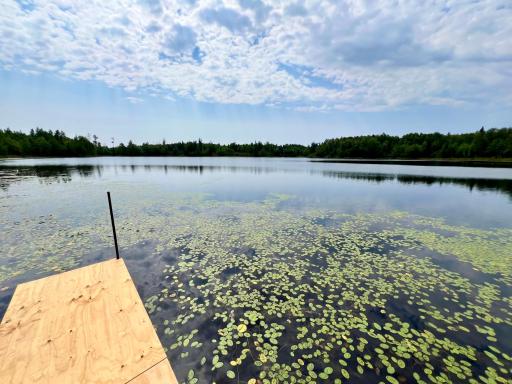 44616 Mcgrady Trail, Nashwauk, MN 55769