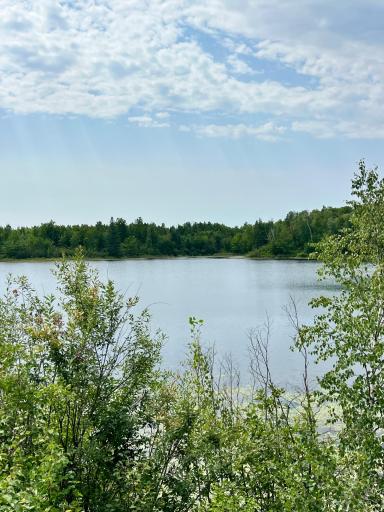 44616 Mcgrady Trail, Nashwauk, MN 55769