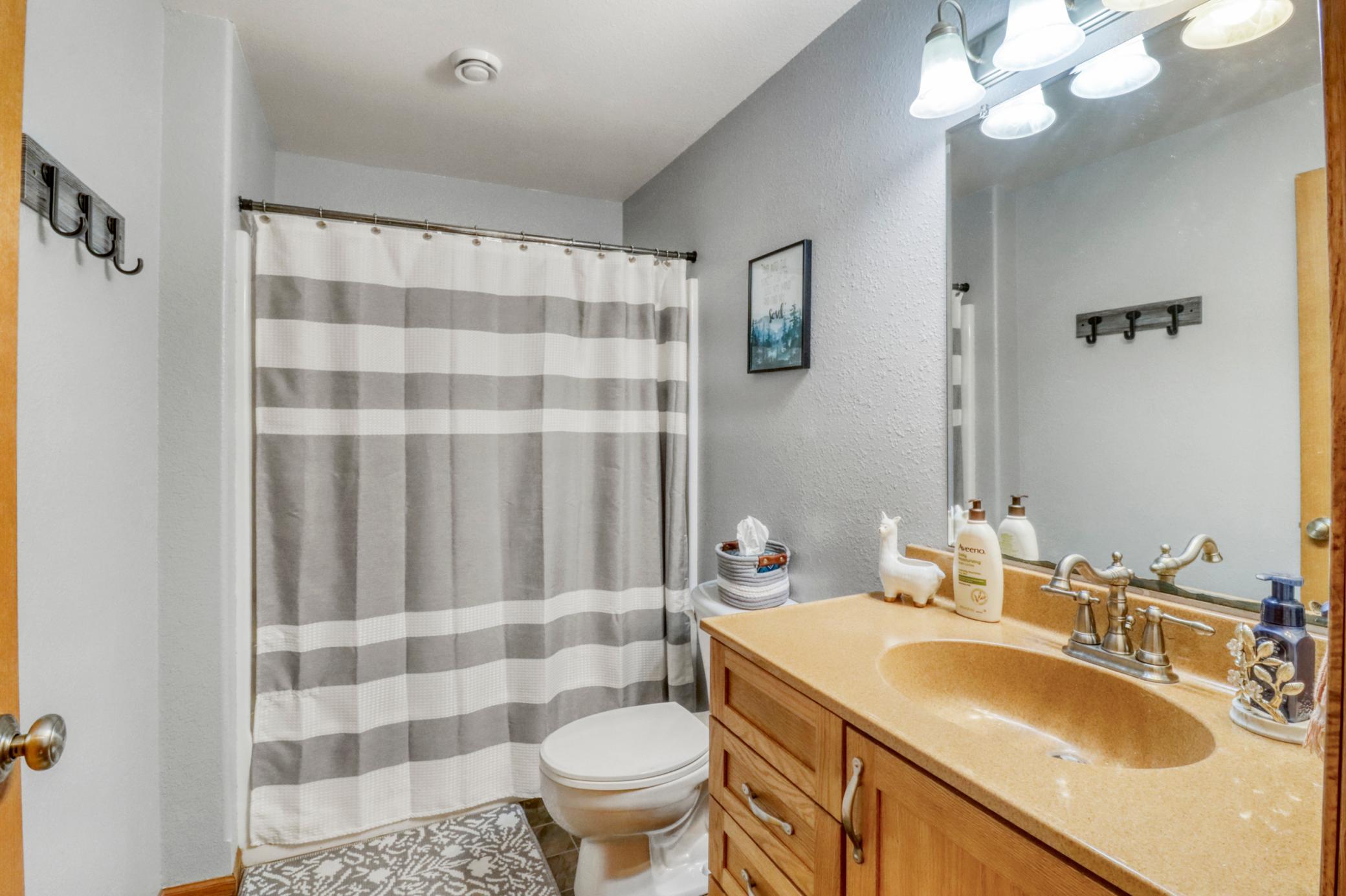 Basement Bathroom1_1.JPG
