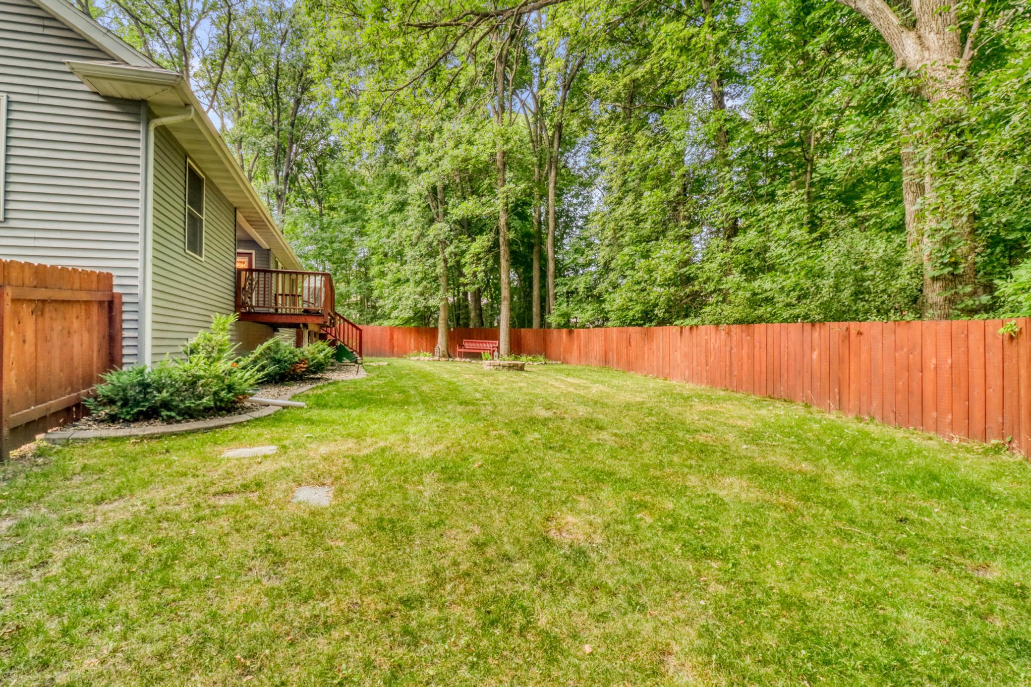 Backyard1_3.JPG