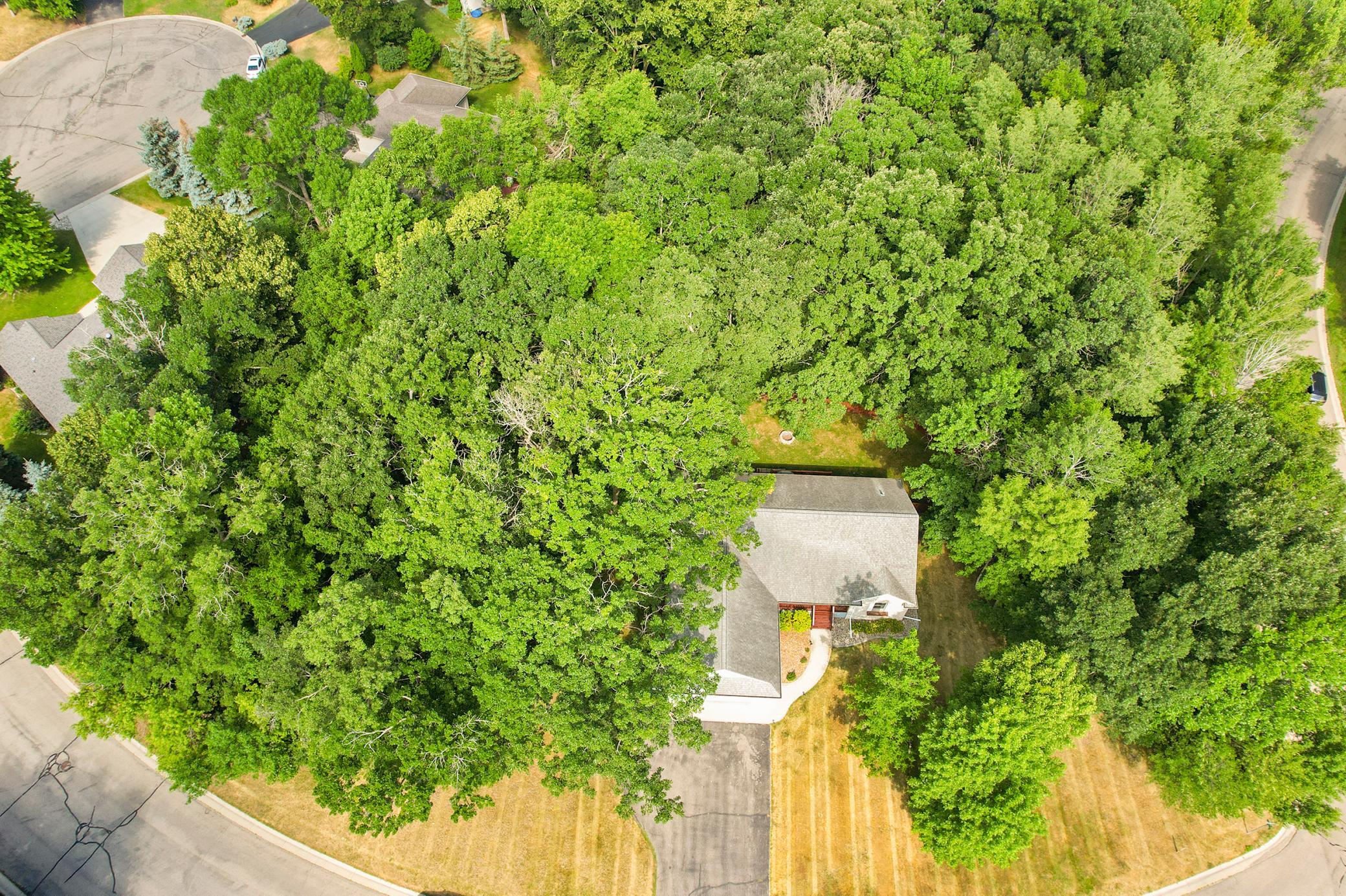 Drone1_3.JPG