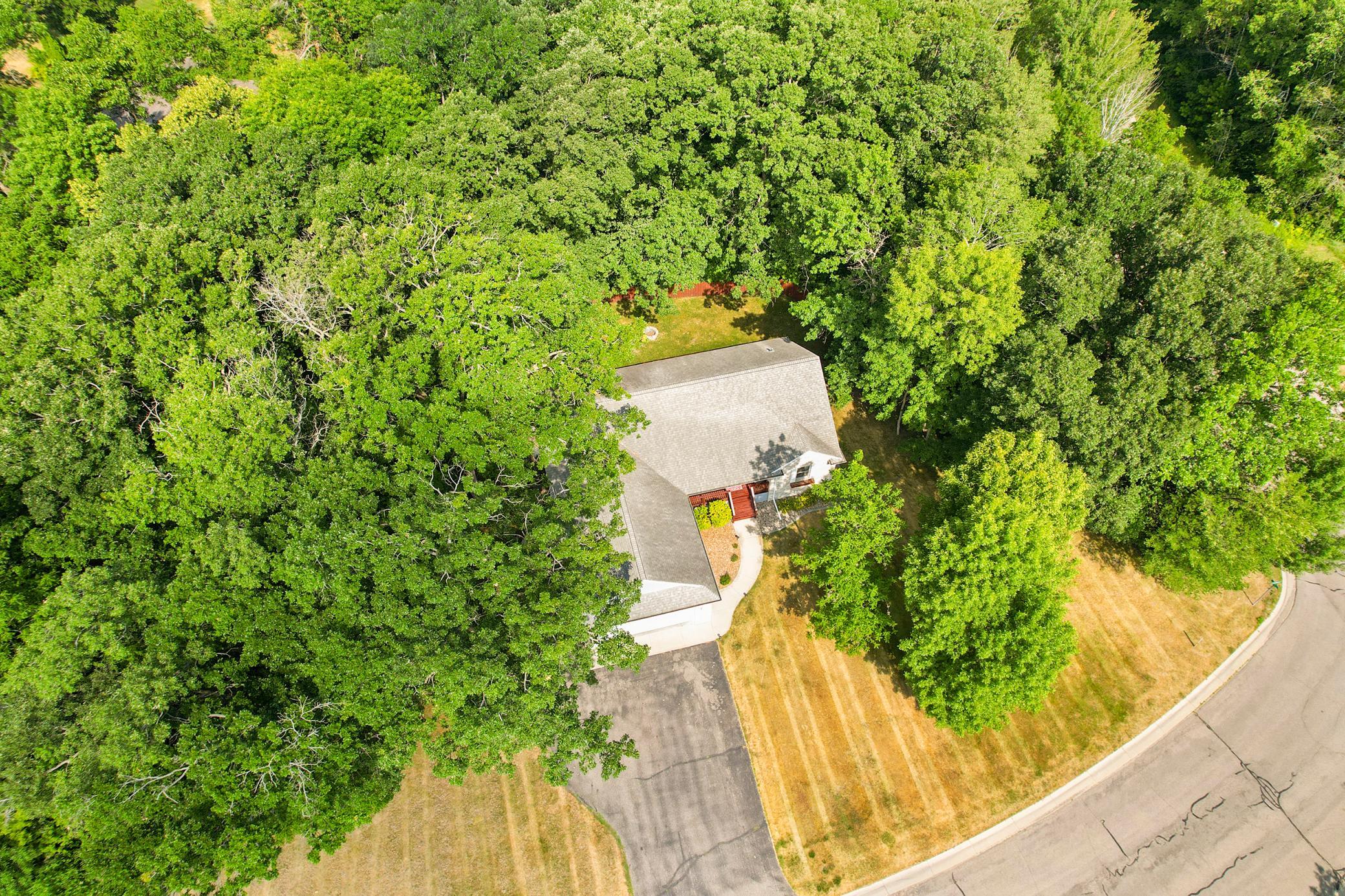 Drone1_4.JPG