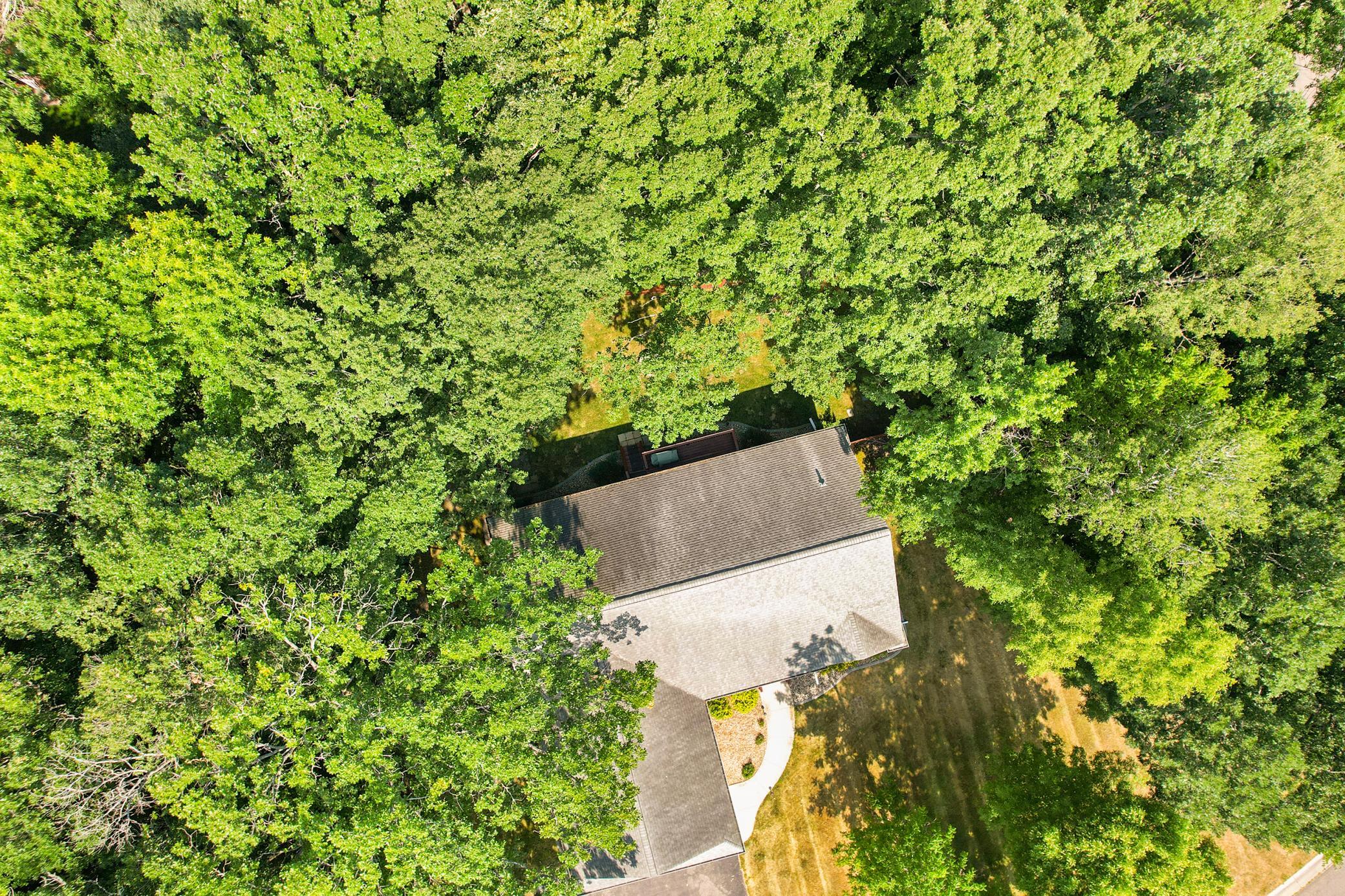 Drone1_6.JPG