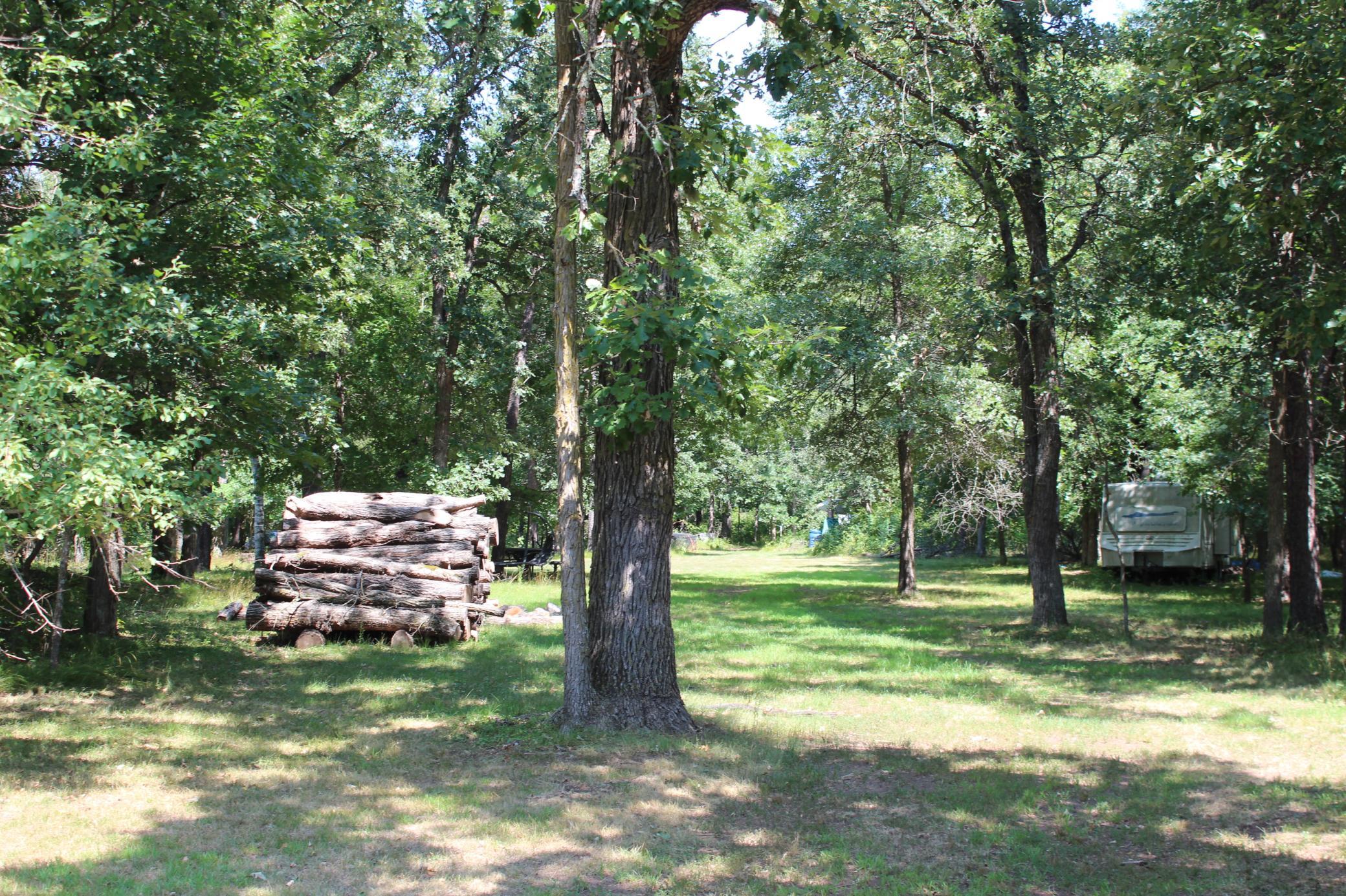 IMG_6334.JPG