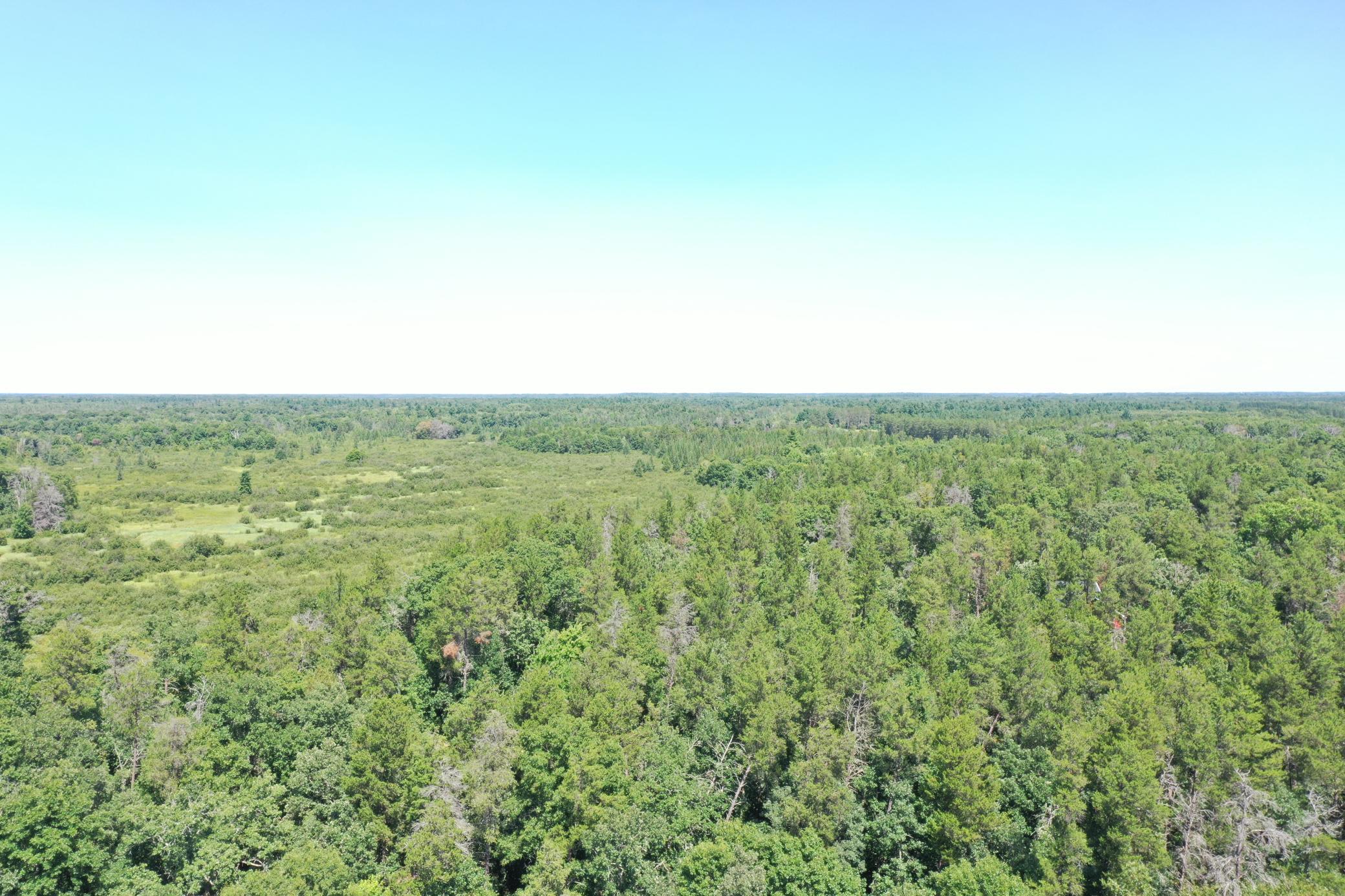DJI_0020 (2).JPG