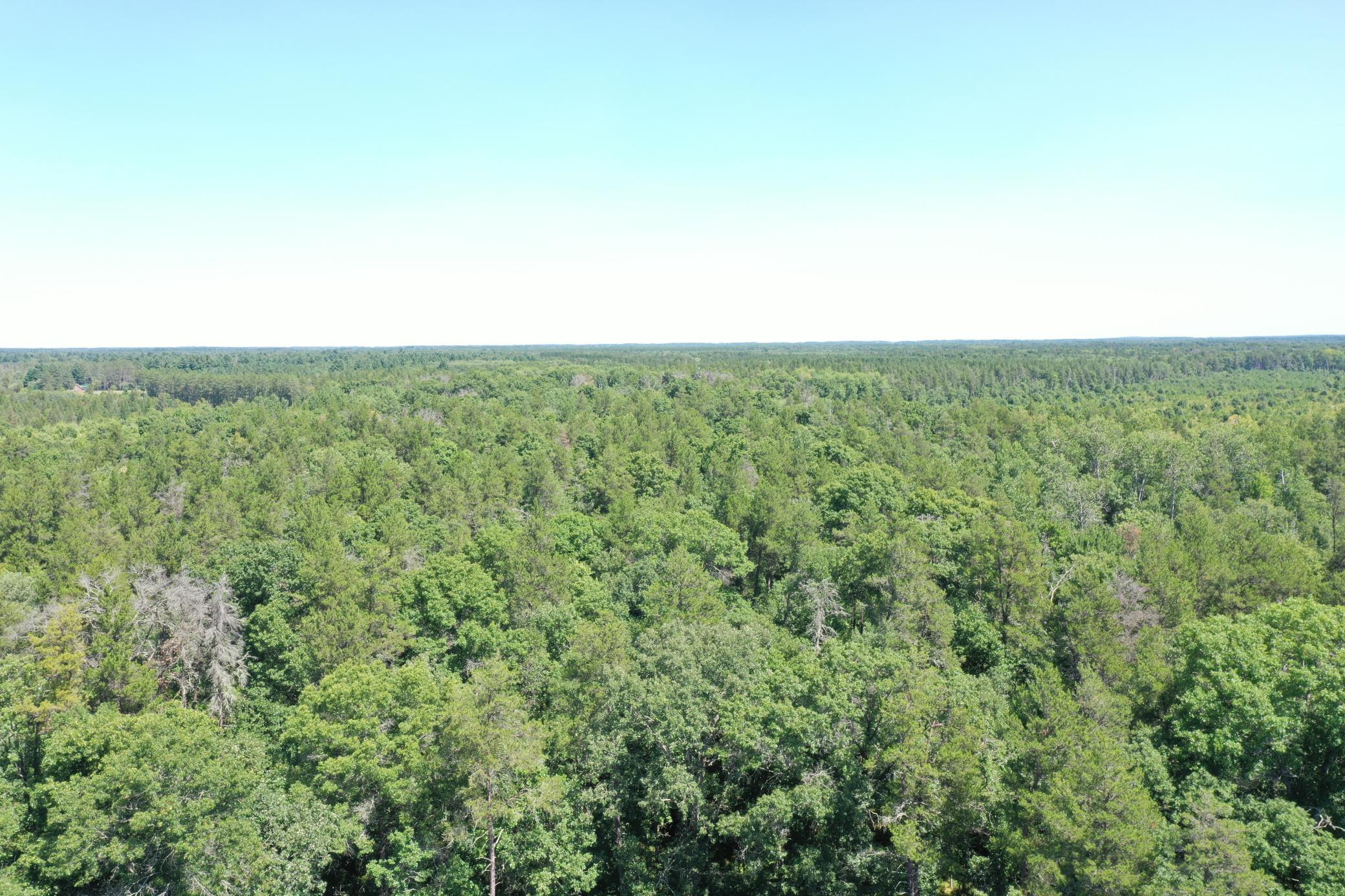 DJI_0018 (1).JPG