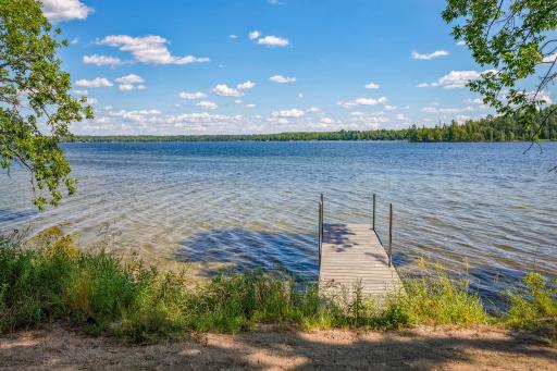 Time for a Swim!