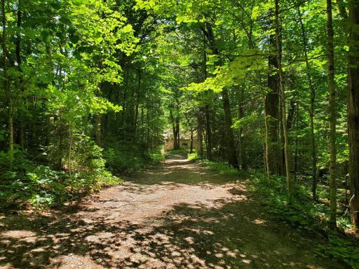 to the lake