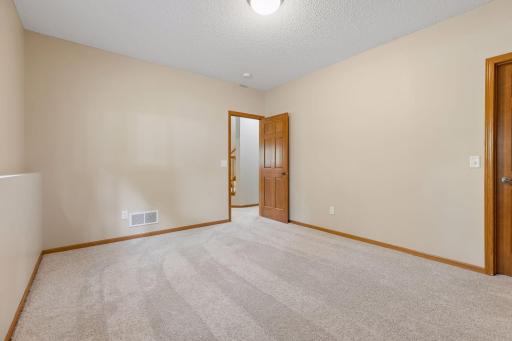 Bedroom #2 lower level, with walk-in closest & lookout window