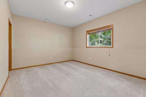 Bedroom #2 lower level, with walk-in closest & lookout window