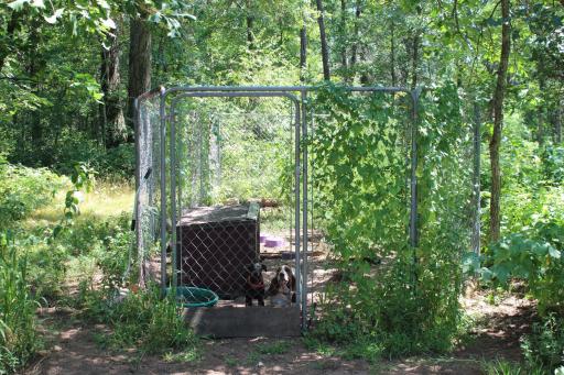 14662 Oeltjen Road, Grantsburg, WI 54840