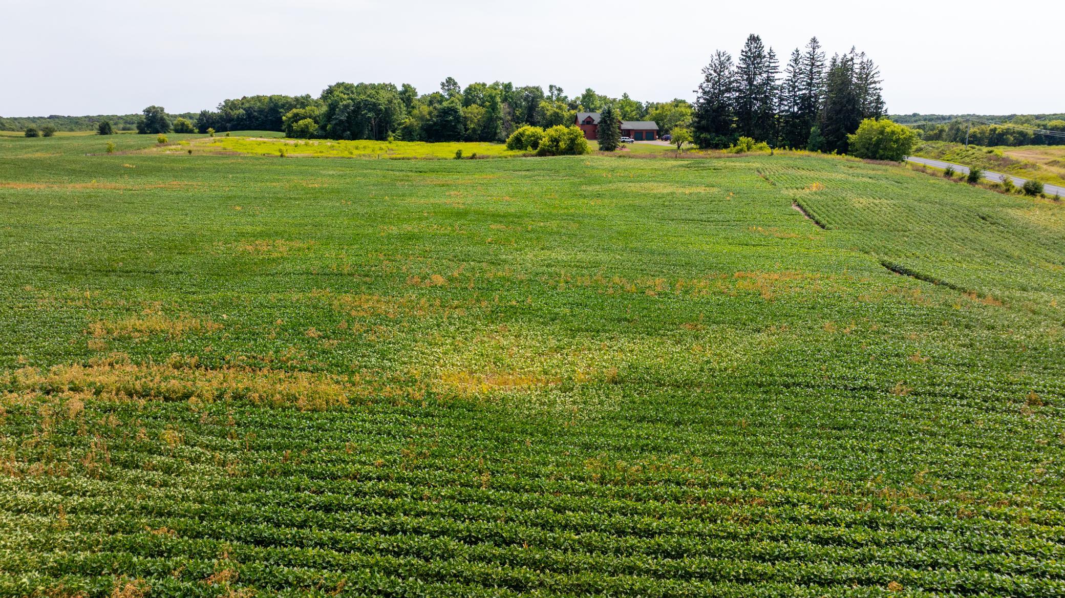 Additional acreage available!!