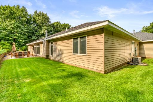 Backyard1_4.JPG