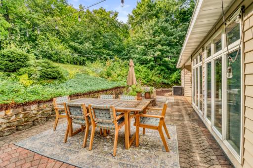 Backyard1_1.JPG