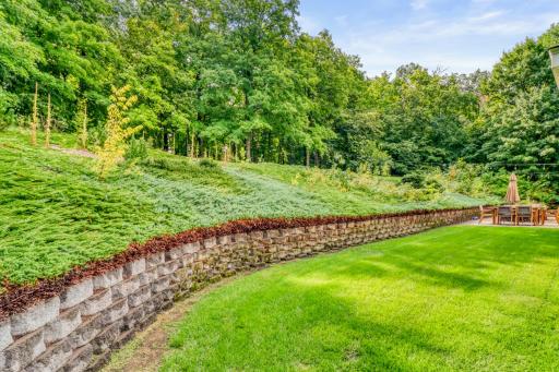 Backyard1_5.JPG