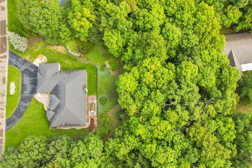 Drone1_4.JPG