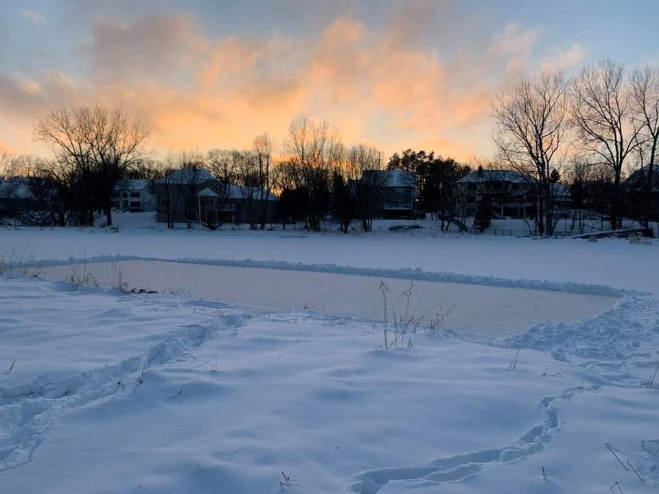IMG_2502.JPG
