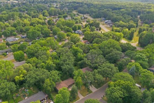 Elevated neighborhood view showing the abundance of mature trees throughout the surrounding area.