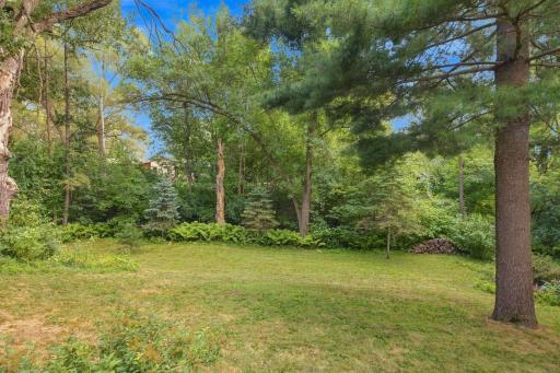 Tree-filled backyard offering a peaceful, private-feeling setting with mature landscaping and outdoor living space.