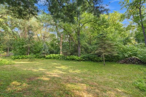 Generous backyard with a combination of open lawn and mature wooded surroundings.