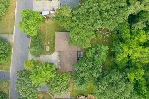 Aerial view showcasing the home, yard and extensive mature tree coverage surrounding the property.