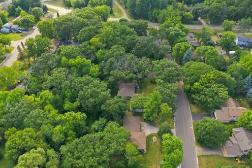 Aerial perspective highlights the established, tree-filled neighborhood and wooded setting.