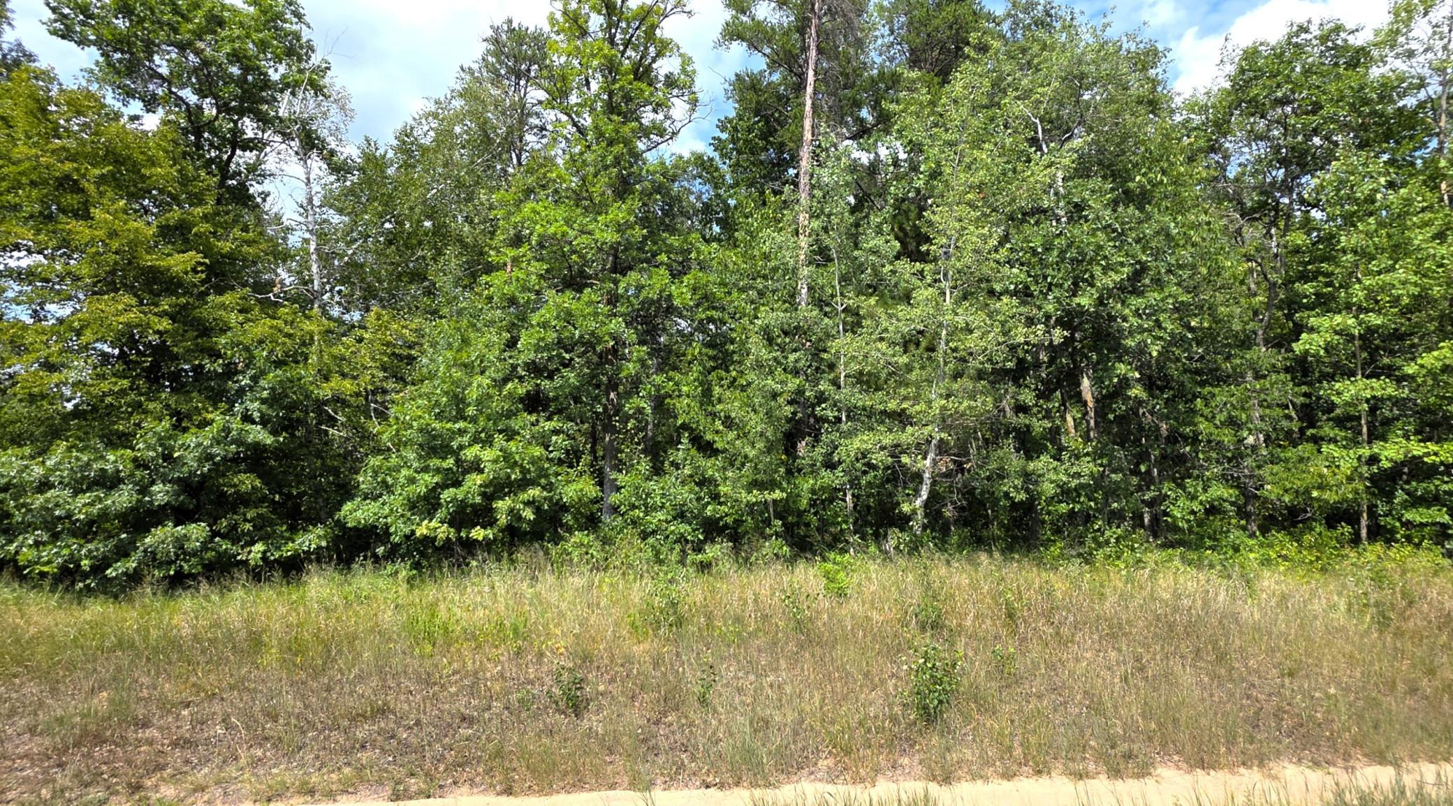 Lot frontage.jpg