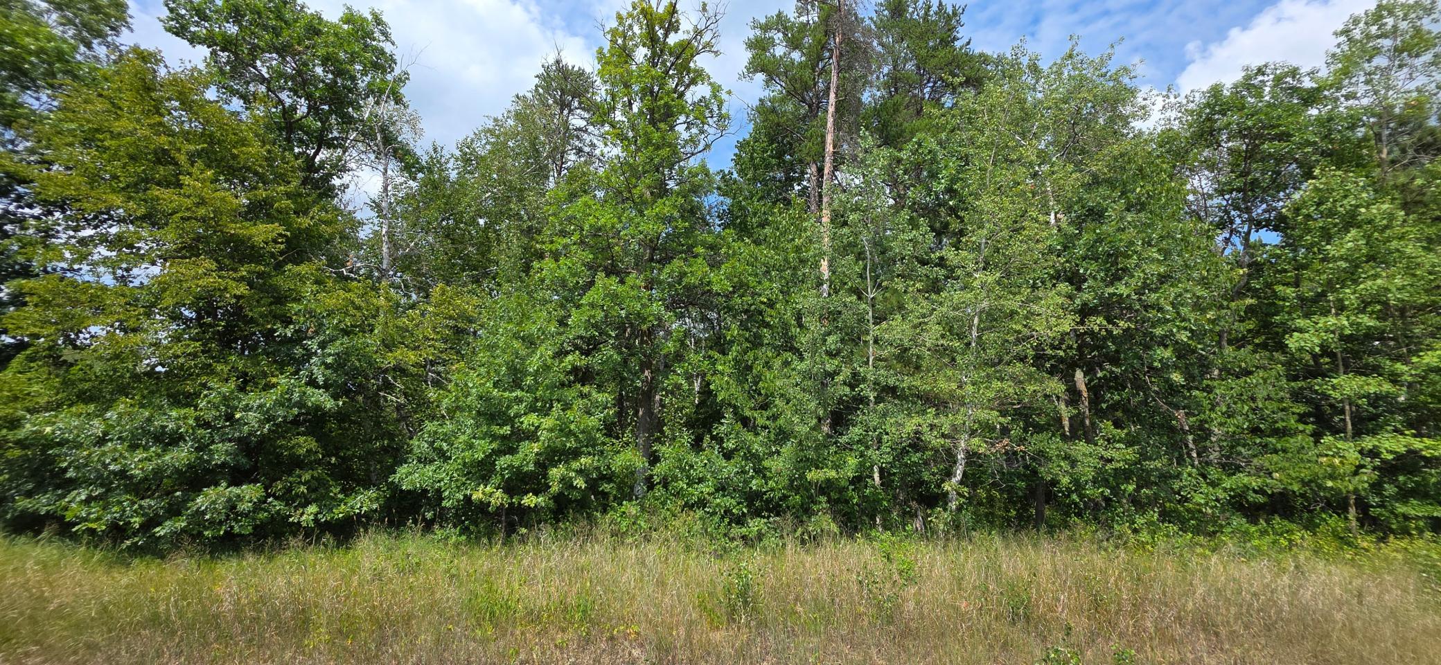 Lot frontage 2.jpg