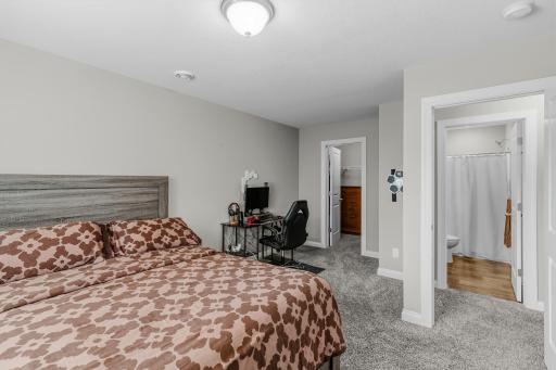Lower level 6th bedroom w/walk-in closet