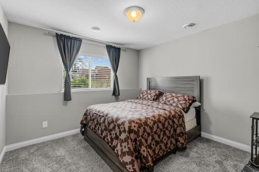 Lower level 6th bedroom